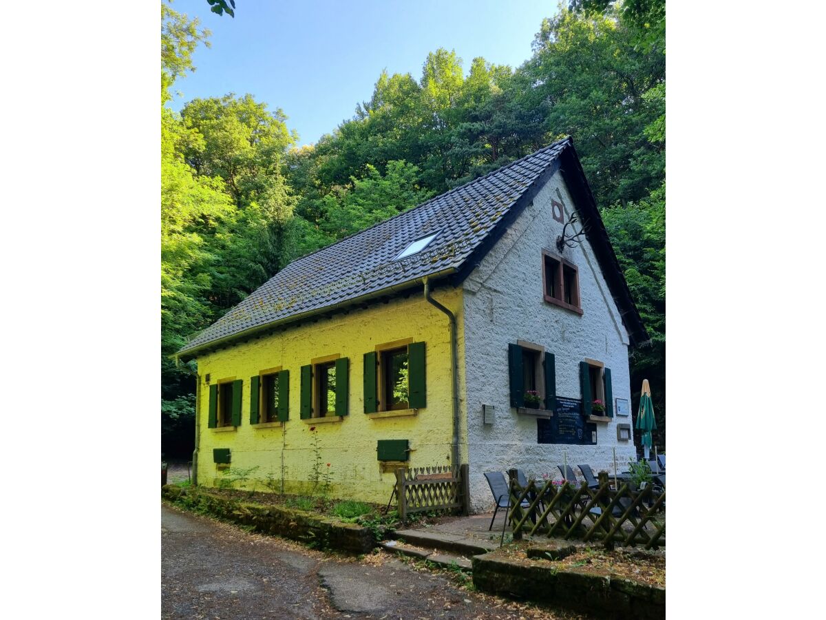 Apartment Charlottes Waldresidenz - Outdoor photo 4