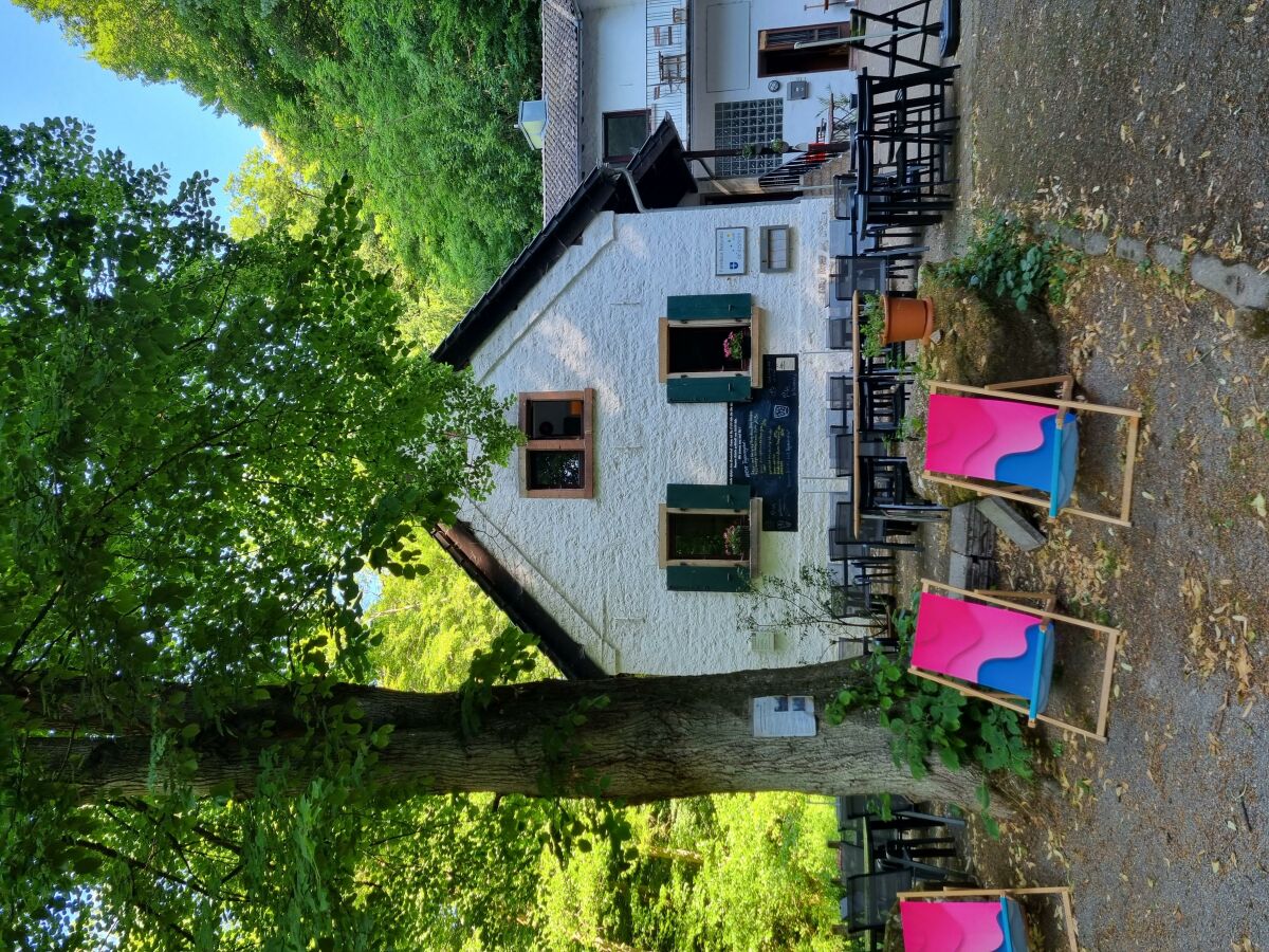 Apartment Charlottes Waldresidenz - Outdoor photo 5