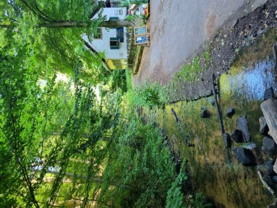 Apartment Charlottes Waldresidenz in Neustadt-Gimmeldingen - Apartment