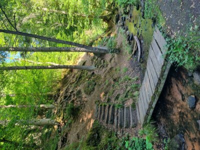 Apartment Charlottes Waldresidenz - Outdoor photo 2