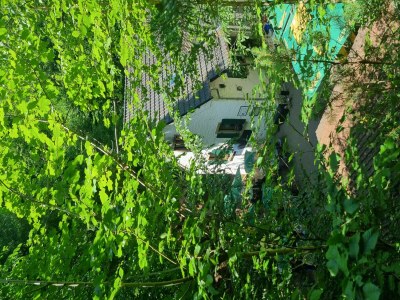 Apartment Charlottes Waldresidenz - Outdoor photo 3