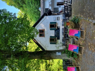 Apartment Charlottes Waldresidenz - Outdoor photo 5