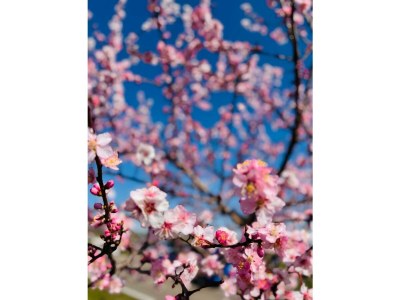 Apartment Charlottes Waldresidenz - Outdoor photo 7