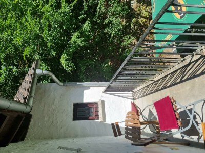 Apartment Charlottes Waldresidenz - Features photo 9