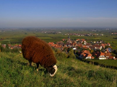 Apartment Appartement/Fewo, Dusche, WC, Nichtraucher - Outdoor photo 8