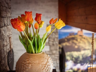 Apartment Tanja's Moselliebe - Outdoor photo 9