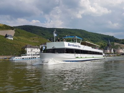 Apartment Ferienwohnung Moseltor - Outdoor photo 14