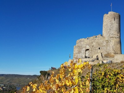 Apartment Ferienwohnung Moseltor - Outdoor photo 16
