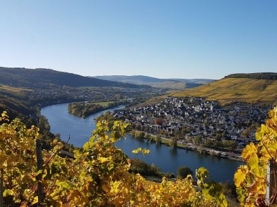 Apartment Ferienwohnung Moseltor - Outdoor photo 17