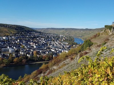 Apartment Ferienwohnung Moseltor - Outdoor photo 18