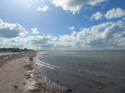 Holiday house 6 person holiday home in Allingåbro - Outdoor photo 35