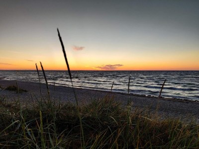 Holiday house 6 person holiday home in Allingåbro - Outdoor photo 38