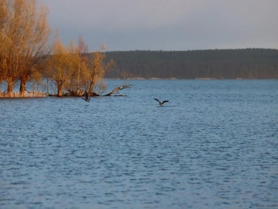 Apartment Appartement Hafenflair am Plauer See - Environment photo 27