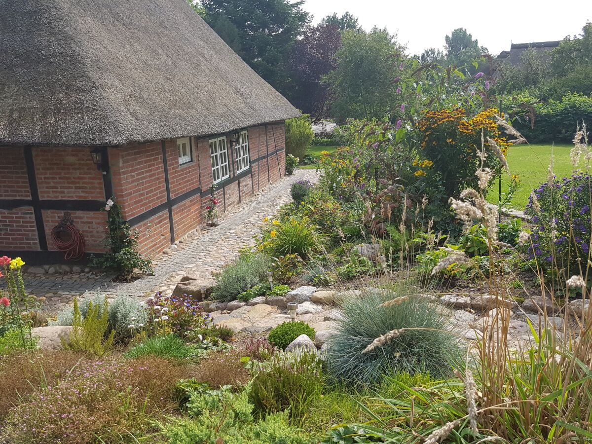 Holiday house Meewes - Outdoor photo 5