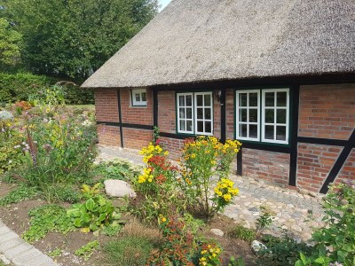 Holiday house Meewes - Outdoor photo 3