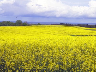 Holiday house Meewes - Environment photo 45