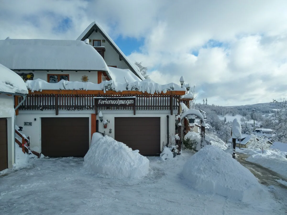 Holiday apartment "Vogelnest" in the holiday house Sonnhalde - Outdoor photo 4