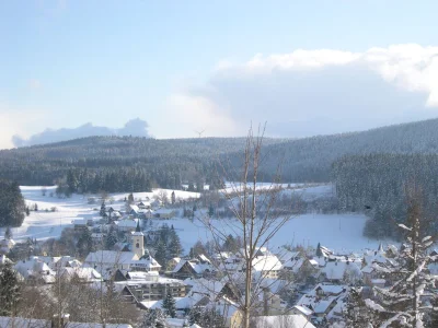 Holiday apartment "Vogelnest" in the holiday house Sonnhalde - Environment photo 15