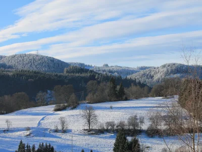 Holiday apartment "Vogelnest" in the holiday house Sonnhalde - Environment photo 16