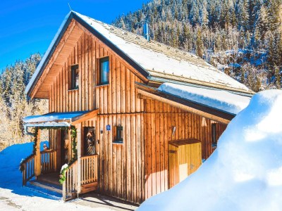 Holiday park Inviting chalet with terrace - Outdoor photo 8