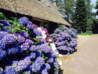 Villa Wochenende in Drenthe zwischen all den alten Bauernhöfen - Outdoor photo 34