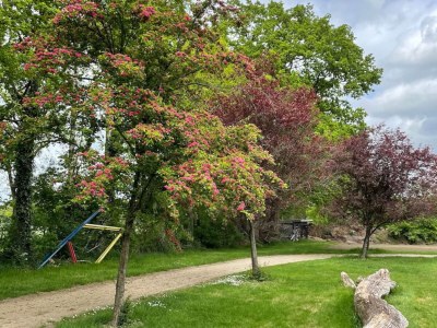 Villa Gemeinsames Kochen in Ihrem Ferienhaus in Drenthe - Outdoor photo 22