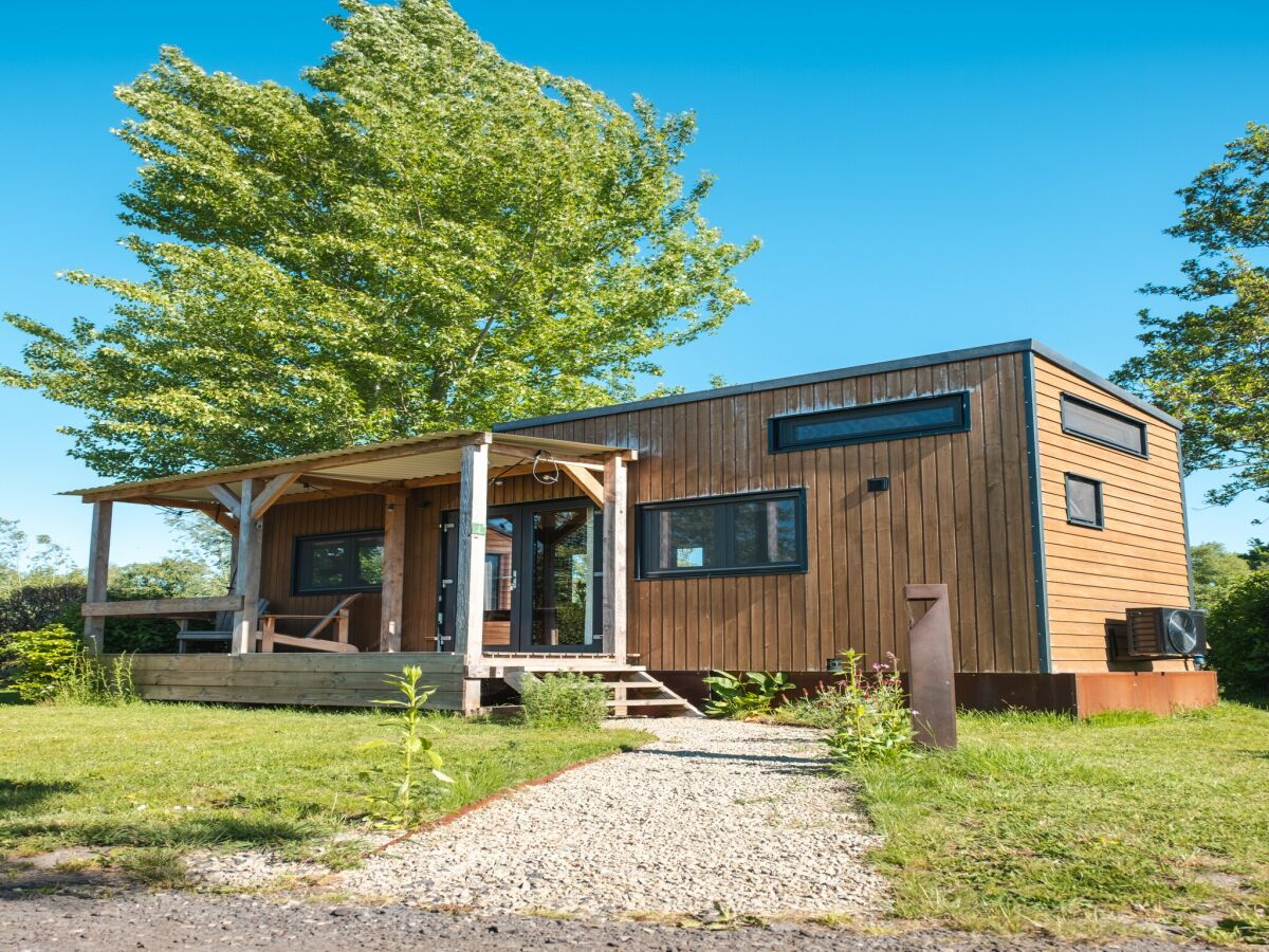 Holiday park Ferienhaus in Scherpenzeel - Outdoor photo 3