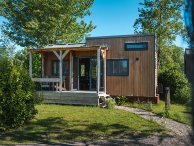 Holiday park Ferienhaus in Scherpenzeel - Outdoor photo 8