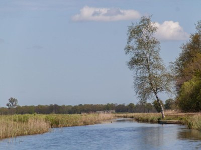 Holiday park Ferienhaus in Scherpenzeel - Environment photo 30