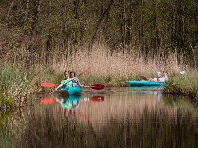 Holiday park Ferienhaus in Scherpenzeel - Environment photo 33