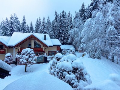 Holiday apartment Holiday Paradise Truppe-Muschett - Outdoor photo 22