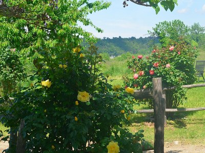 Holiday house No title - Outdoor photo 11