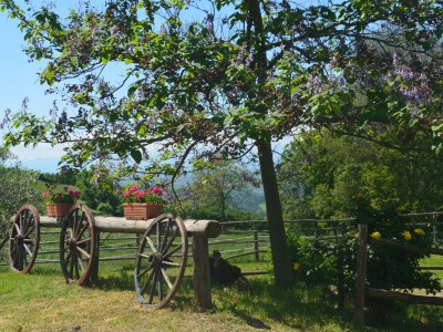Holiday house No title - Outdoor photo 12