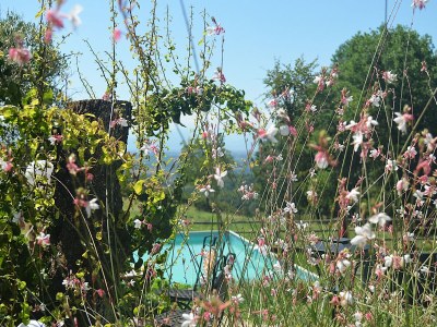 Holiday house No title - Outdoor photo 13