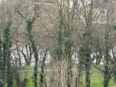 Apartment Ferienwohnung 1 - Outdoor photo 16