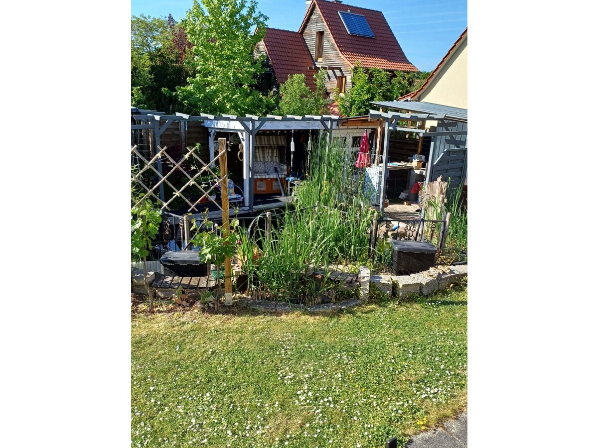 Apartment Ferienwohnung Dhom "Rote Rebe" - Outdoor photo 3