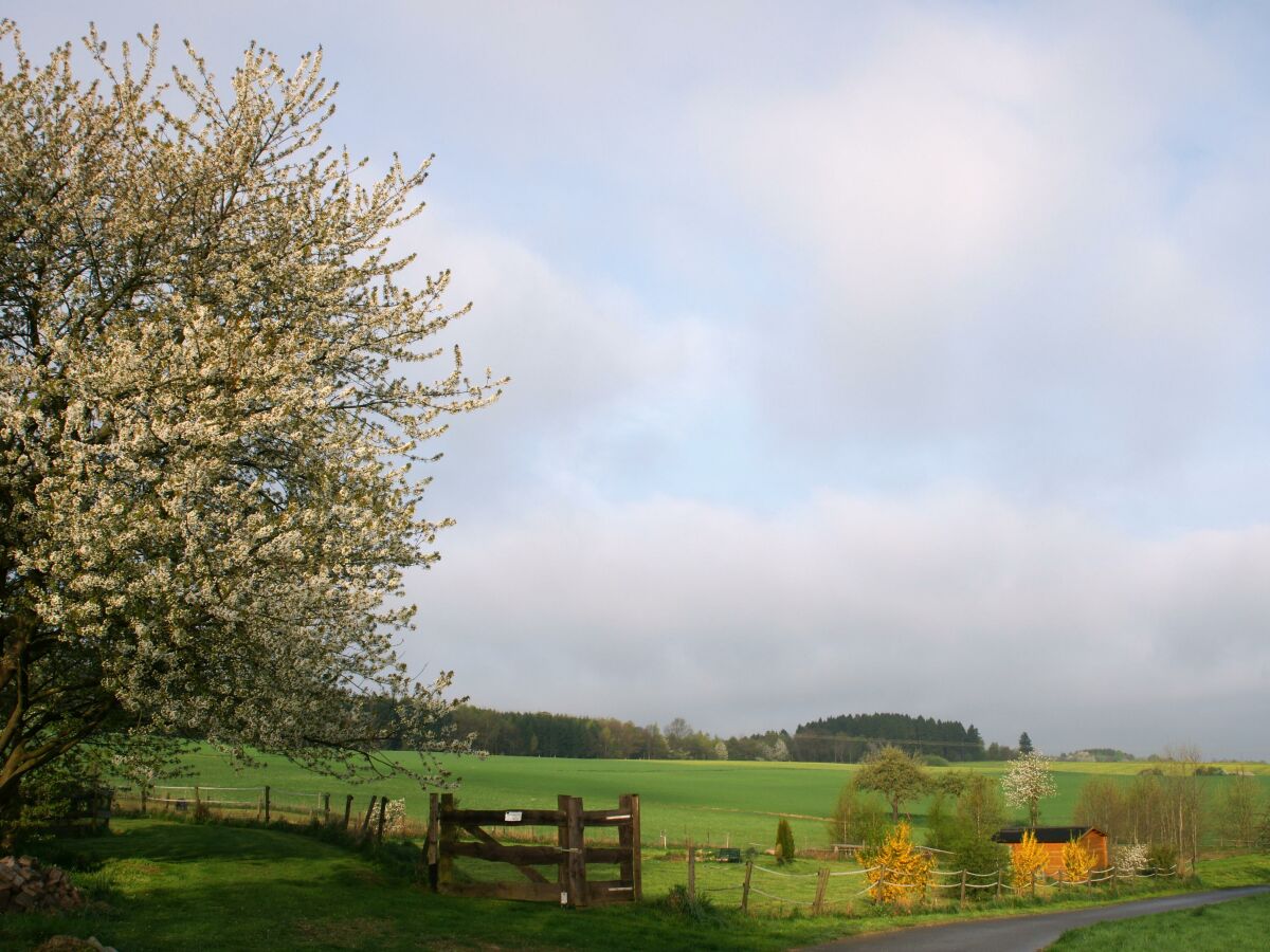 Apartment Ferienhaus Susi - Outdoor photo 3