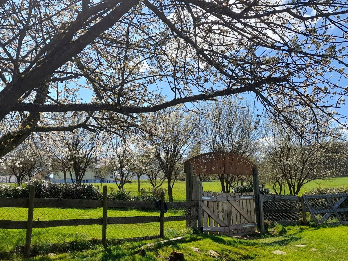 Apartment Ferienhaus Susi - Outdoor photo 5