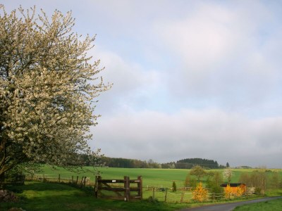 Apartment Ferienhaus Susi - Outdoor photo 3