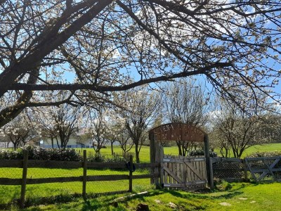 Apartment Ferienhaus Susi - Outdoor photo 5