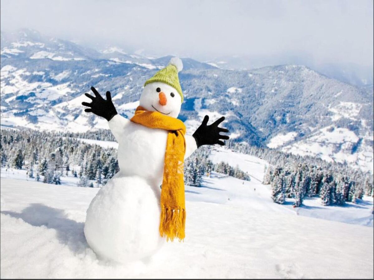 Holiday park Cosy chalet with sauna - Outdoor photo 2