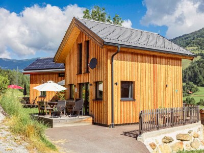 Holiday park Cosy chalet with sauna in St. Lorenzen ob Murau - Holiday park