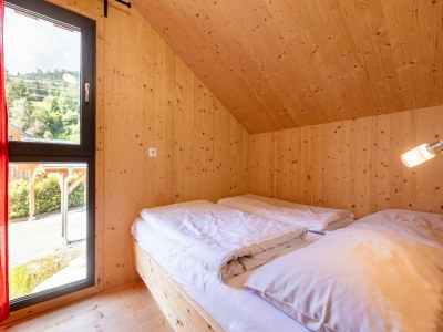 Holiday park Cosy chalet with sauna - Features photo 7