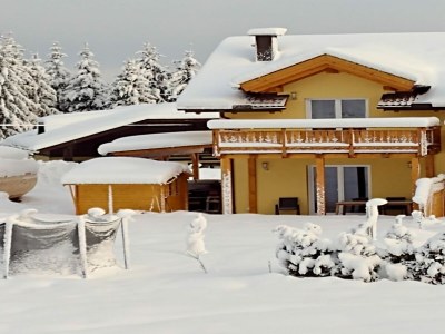 Holiday house Villa mit Terrasse & Sauna nahe Dreiländereck - Outdoor photo 8