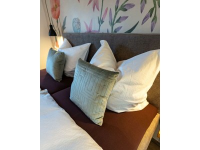 Apartment Wellness-Ferienhaus, Bad/WC mit Sauna u. Jacuzzi - Features photo 43