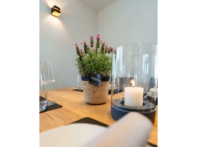 Apartment Wellness-Ferienhaus, Bad/WC mit Sauna u. Jacuzzi - Features photo 47