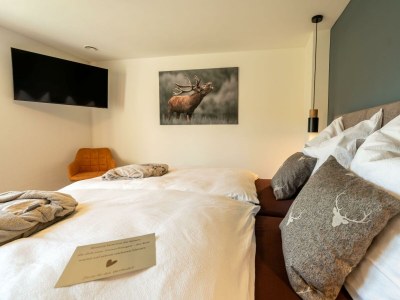 Apartment Wellness-Ferienhaus, Bad/WC mit Sauna u. Jacuzzi - Features photo 55