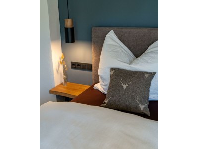 Apartment Wellness-Ferienhaus, Bad/WC mit Sauna u. Jacuzzi - Features photo 64