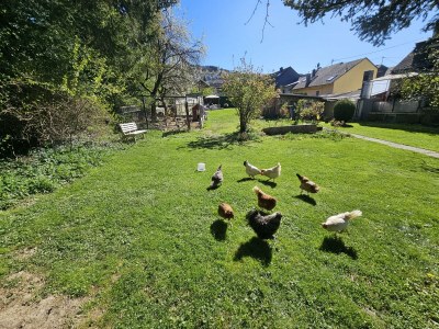 Apartment Ferienhaus, Dusche, WC, 1 Schlafraum - Outdoor photo 11