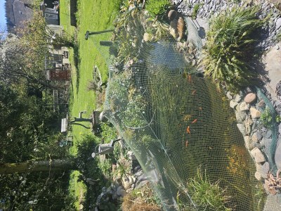 Apartment Ferienhaus, Dusche, WC, 1 Schlafraum - Outdoor photo 12